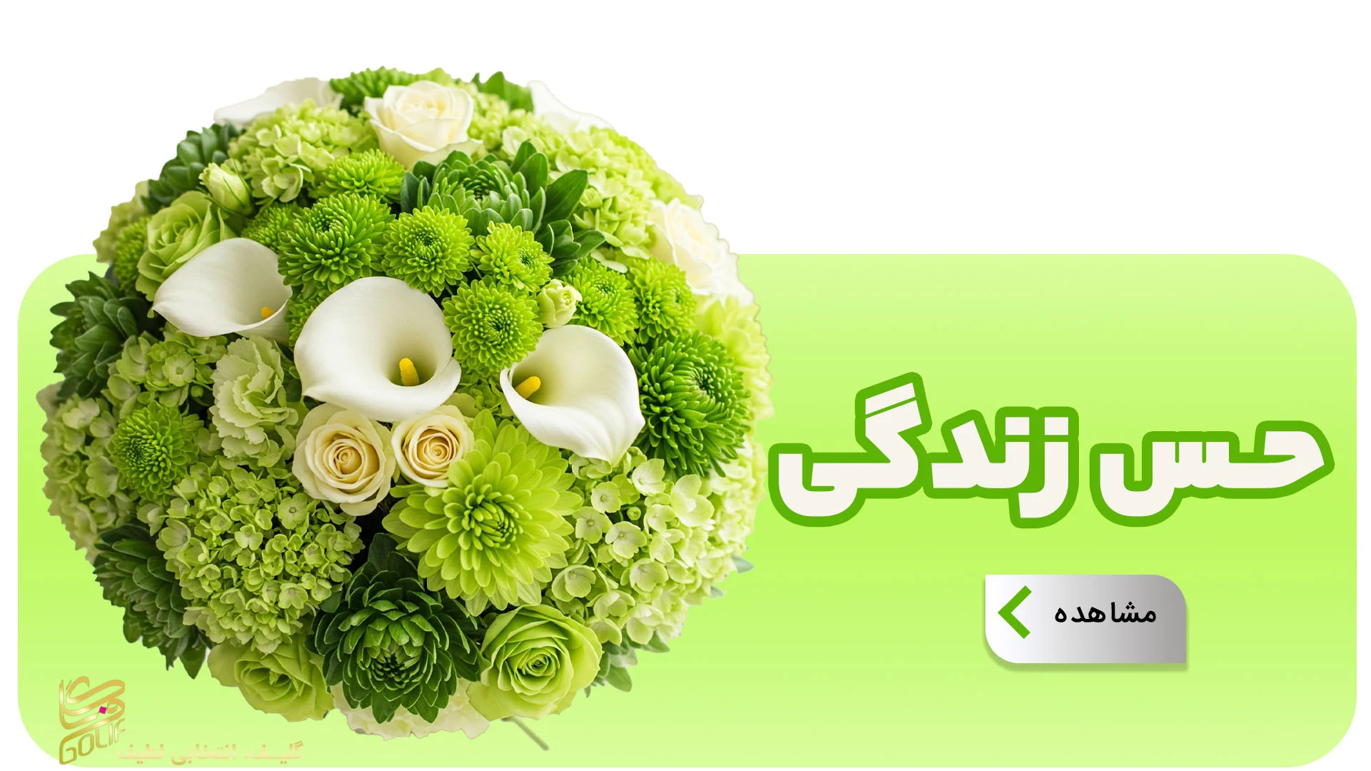 سفارش آنلاین گل vip ارسال رایگان