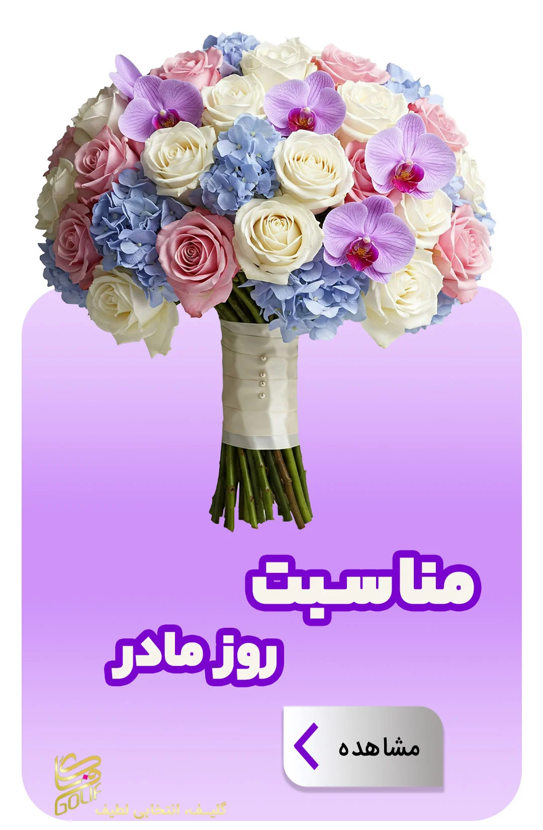 فروش آنلاین گل در گلِیف خرید دسته گل آنلاین ارسال رایگان گل در تهران سفارش تاج گل با ارسال رایگان فروش سبد گل تازه آنلاین گل‌فروشی آنلاین با ارسال فوری خرید گل طبیعی و تازه با ارسال رایگان گل‌های مناسبتی با ارسال رایگان خرید آنلاین گل برای تولد خرید گل مناسب هدیه آنلاین گلِیف، گل‌فروشی اینترنتی معتبر ارسال سریع دسته گل عروس سفارش گل آنلاین با تحویل درب منزل خرید گل با بسته‌بندی شیک و ارسال رایگان ارسال رایگان تاج گل برای مراسم فروشگاه آنلاین گل و گیاه با ارسال رایگان گل‌فروشی آنلاین ارزان با ارسال رایگان سفارش آنلاین گل برای مراسم ختم گل تازه با ارسال رایگان در تهران و کرج تاج گل golif گلیف سبد گل دسته گل زیبا لاکچری شیک ارسال فوری رایگان سریع تهران کرج گلِیف، بهترین گل‌فروشی آنلاین با ارسال رایگان golif گلیف