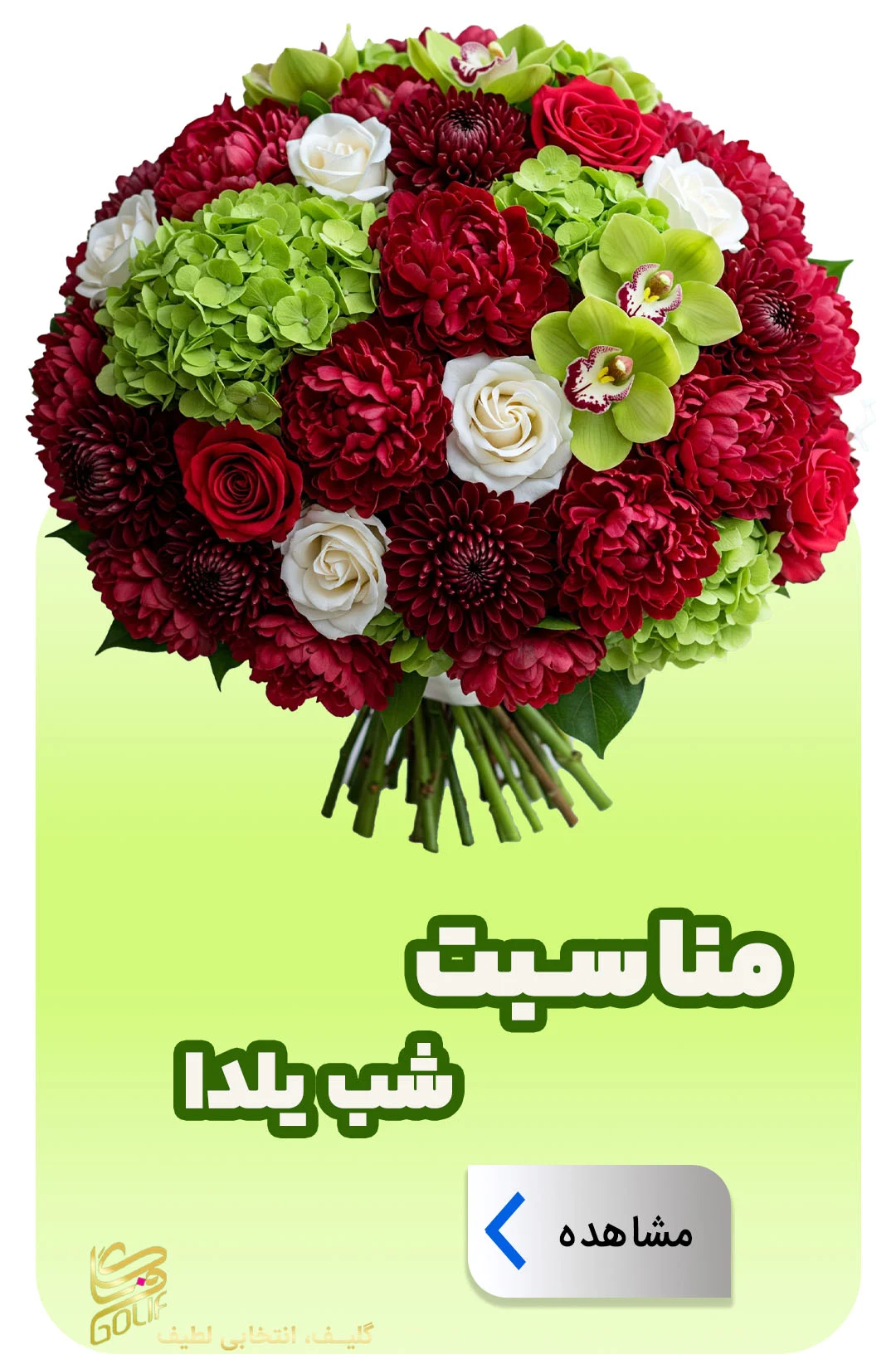 فروش آنلاین گل در گلِیف خرید دسته گل آنلاین ارسال رایگان گل در تهران سفارش تاج گل با ارسال رایگان فروش سبد گل تازه آنلاین گل‌فروشی آنلاین با ارسال فوری خرید گل طبیعی و تازه با ارسال رایگان گل‌های مناسبتی با ارسال رایگان خرید آنلاین گل برای تولد خرید گل مناسب هدیه آنلاین گلِیف، گل‌فروشی اینترنتی معتبر ارسال سریع دسته گل عروس سفارش گل آنلاین با تحویل درب منزل خرید گل با بسته‌بندی شیک و ارسال رایگان ارسال رایگان تاج گل برای مراسم فروشگاه آنلاین گل و گیاه با ارسال رایگان گل‌فروشی آنلاین ارزان با ارسال رایگان سفارش آنلاین گل برای مراسم ختم گل تازه با ارسال رایگان در تهران و کرج تاج گل golif گلیف سبد گل دسته گل زیبا لاکچری شیک ارسال فوری رایگان سریع تهران کرج گلِیف، بهترین گل‌فروشی آنلاین با ارسال رایگان golif گلیف